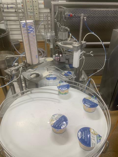 Riempitrice di bicchieri per yogurt di Zootechnika, rotativa, 800 - 1.000 bicchieri/h (2)